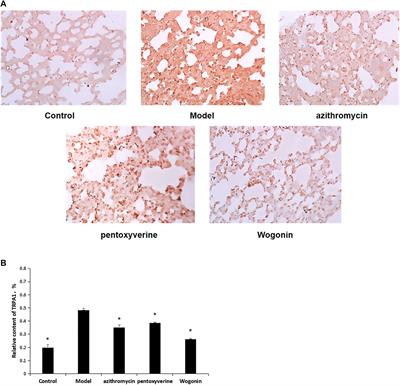 The Effectiveness of Wogonin on Treating Cough Mice With Mycoplasma Pneumoniae Infection